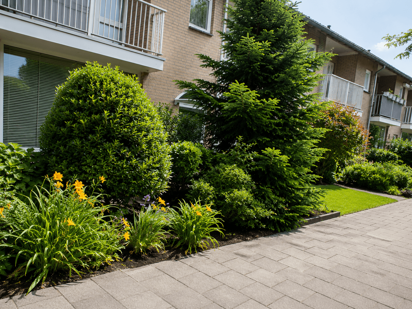 Overgrown front garden with sprawling shrubs before the refresh.