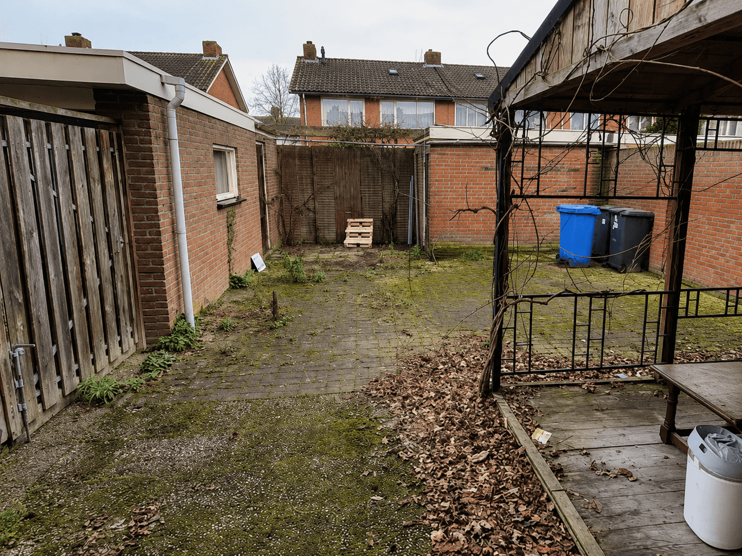 Neglected backyard with moss, leaf litter and old slabs before the renovation.